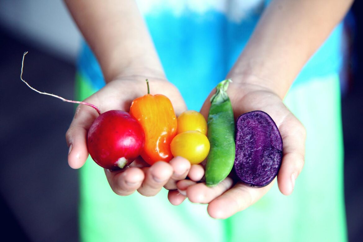 Vibrant fresh vegetables including radish, bell pepper, and peas held in hands symbolizing healthy eating.