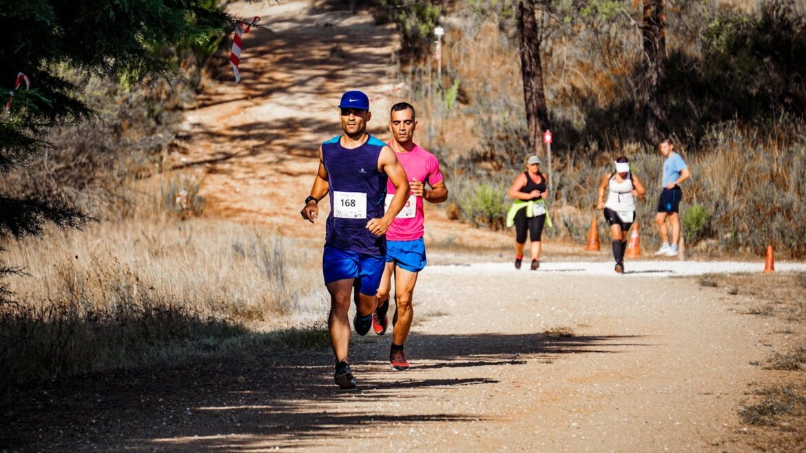 Runners competing in an outdoor marathon on a sunlit dirt road through a wooded area.