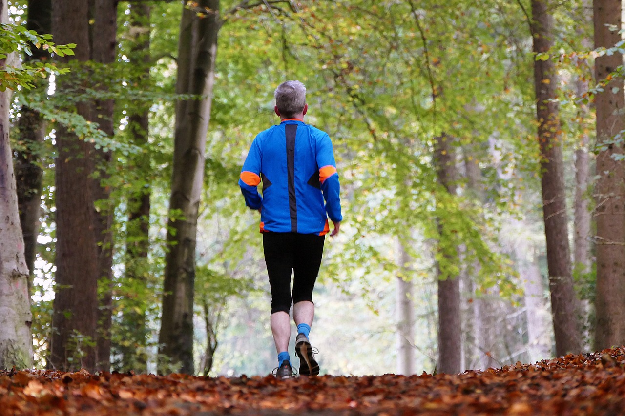 forest, nature, sports, jogger, trees, leaves, senior, health, jogging, running, jogger, jogger, jogger, jogger, jogger, jogging, jogging, jogging