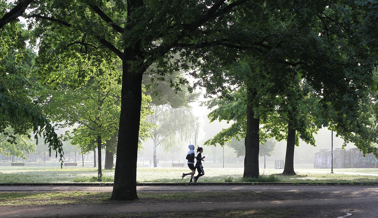 jogging, fitness, jogger, movement, fit, run, park, sport, jog, people, person, sportsman, jogging, jogging, jogging, fitness, fitness, fitness, fitness, fitness, run, run, park, park, park, sport