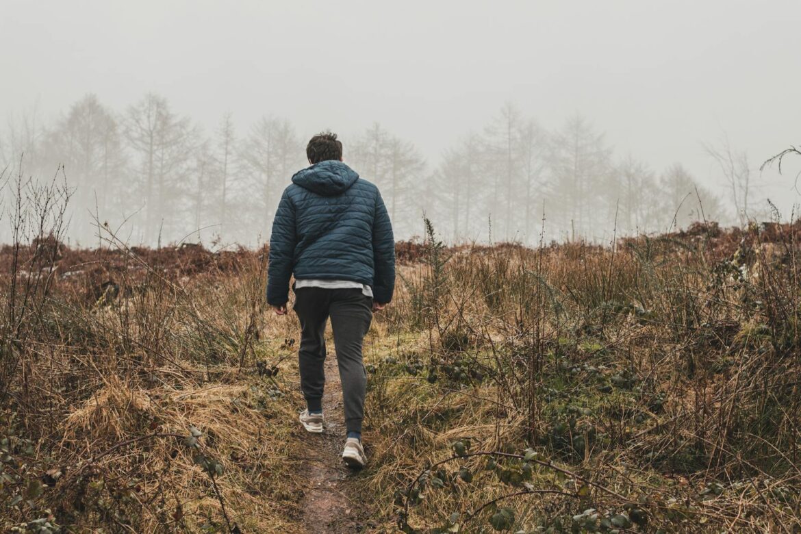 A man walks alone through a foggy forest, creating a serene and mysterious atmosphere.