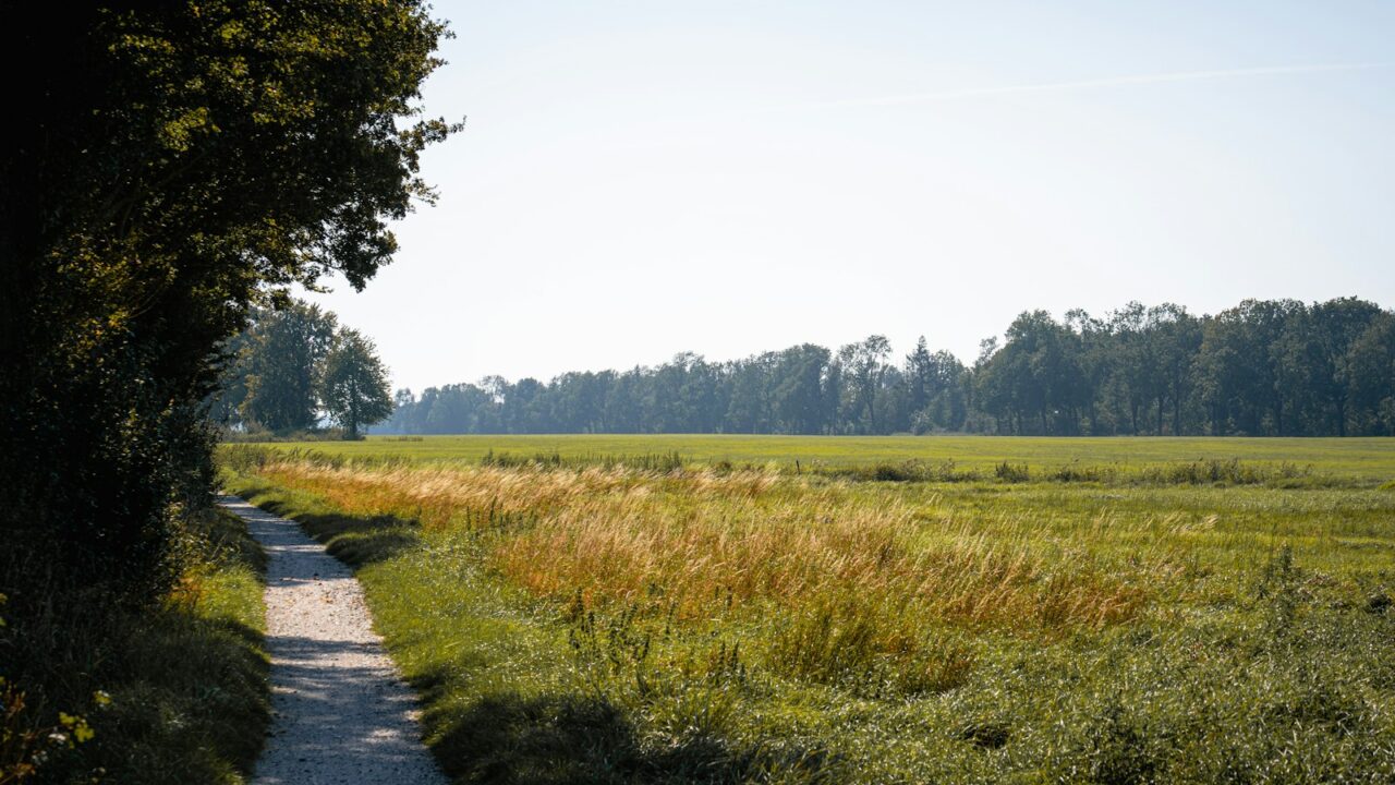 Hardlopers op een dijk door het open rivierenlandschap