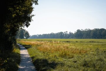 Hardlopers op een dijk door het open rivierenlandschap