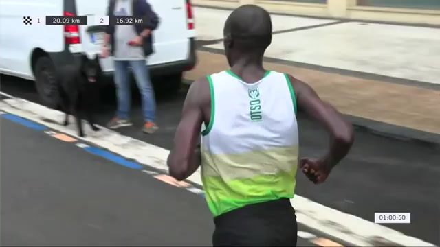 De koploper op weg naar de finish van de halve marathon van San Sebastián op 4 oktober 2026