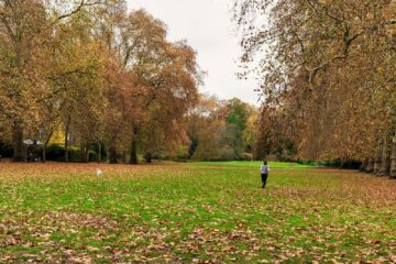 Hardloper wandelt rustig door een park in de herfst